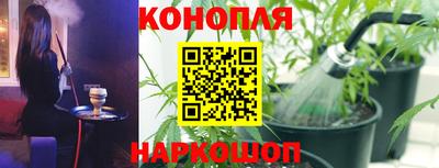 шишки Краснодар