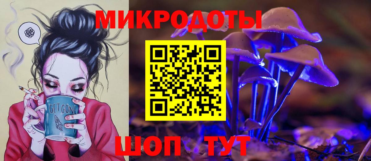 Галлюциногенные грибы Psilocybe Калининград