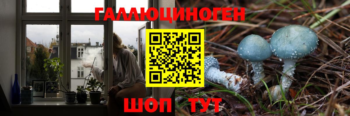 Галлюциногенные грибы Cubensis  цена наркотик  Калининград  Вход с VPN  Псилоцибиновые грибы MAGIC MUSHROOMS 
